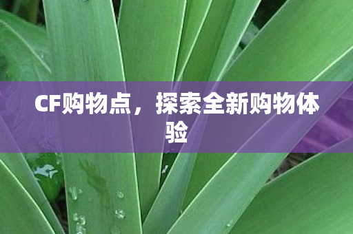 CF购物点,探索全新购物体验 CF购物点,探索全新购物体验