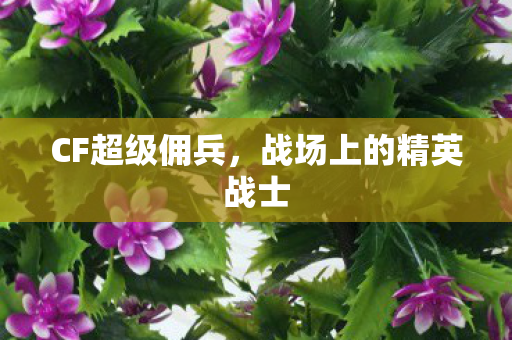 CF超级佣兵，战场上的精英战士