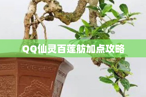 QQ仙灵百莲舫加点攻略