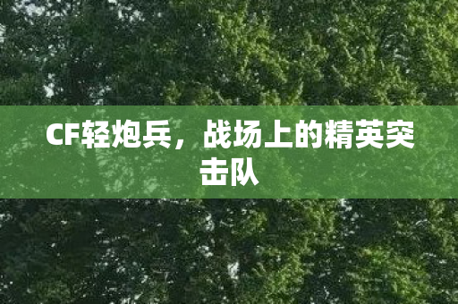 CF轻炮兵，战场上的精英突击队