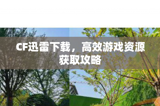 CF迅雷下载,高效游戏资源获取攻略 CF迅雷下载,高效游戏资源获取攻略