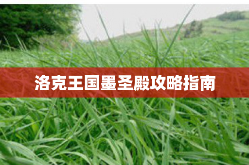 洛克王国墨圣殿攻略指南 洛克王国墨圣殿攻略指南