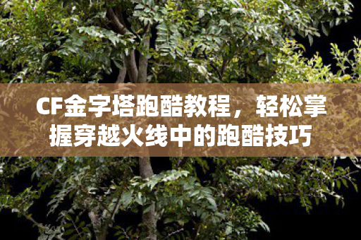 CF金字塔跑酷教程,轻松掌握穿越火线中的跑酷技巧 CF金字塔跑酷教程,轻松掌握穿越火线中的跑酷技巧