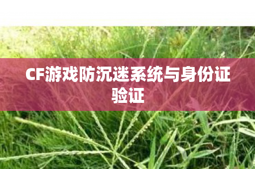 CF游戏防沉迷系统与身份证验证 CF游戏防沉迷系统与身份证验证