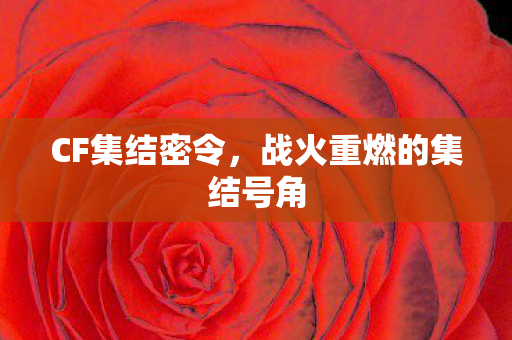CF集结密令,战火重燃的集结号角 CF集结密令,战火重燃的集结号角