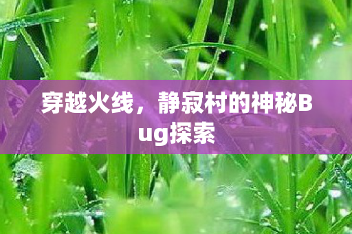 穿越火线，静寂村的神秘Bug探索