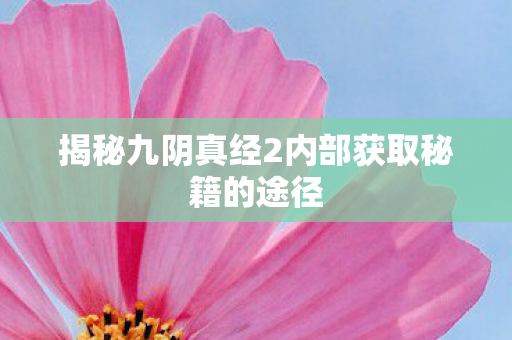 揭秘九阴真经2内部获取秘籍的途径