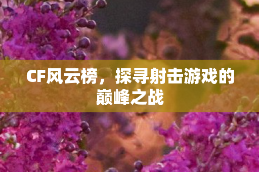 CF风云榜，探寻射击游戏的巅峰之战