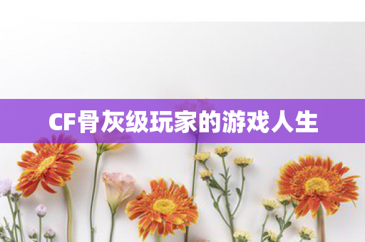 CF骨灰级玩家的游戏人生