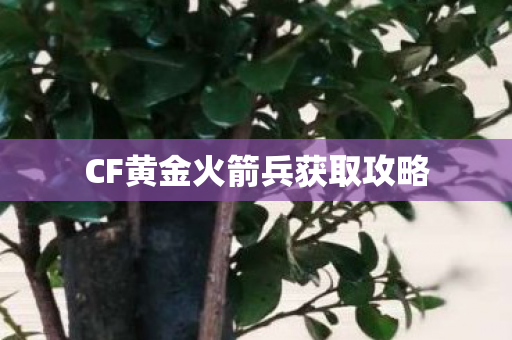 CF黄金火箭兵获取攻略 CF黄金火箭兵获取攻略