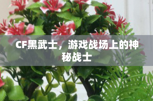 CF黑武士，游戏战场上的神秘战士