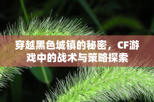 穿越黑色城镇的秘密，CF游戏中的战术与策略探索