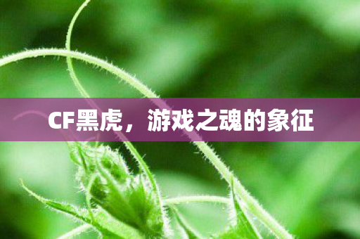 CF黑虎,游戏之魂的象征 CF黑虎,游戏之魂的象征