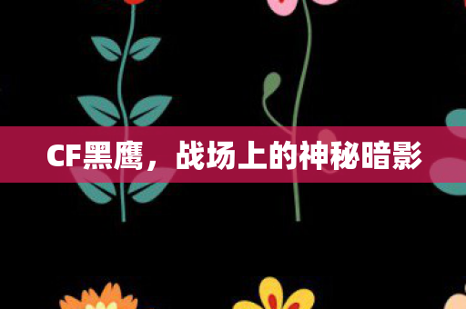 CF黑鹰,战场上的神秘暗影 CF黑鹰,战场上的神秘暗影