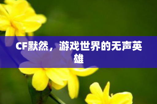 CF默然,游戏世界的无声英雄 CF默然,游戏世界的无声英雄
