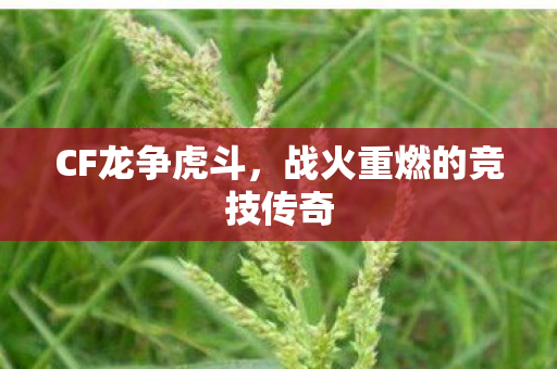 CF龙争虎斗,战火重燃的竞技传奇 CF龙争虎斗,战火重燃的竞技传奇