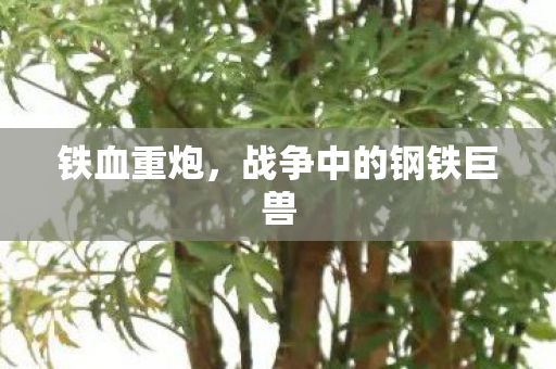 铁血重炮，战争中的钢铁巨兽