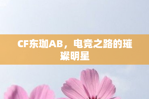 CF东珈AB,电竞之路的璀璨明星 CF东珈AB,电竞之路的璀璨明星