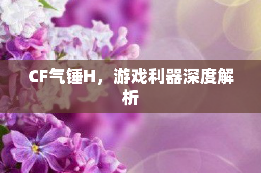CF气锤H,游戏利器深度解析 CF气锤H,游戏利器深度解析