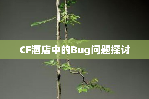 CF酒店中的Bug问题探讨 CF酒店中的Bug问题探讨
