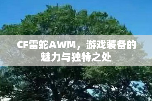 CF雷蛇AWM，游戏装备的魅力与独特之处