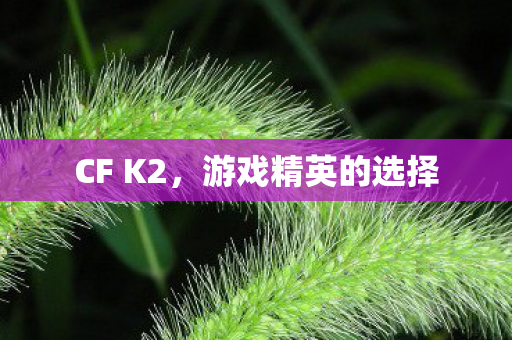 CF K2,游戏精英的选择 CF K2,游戏精英的选择