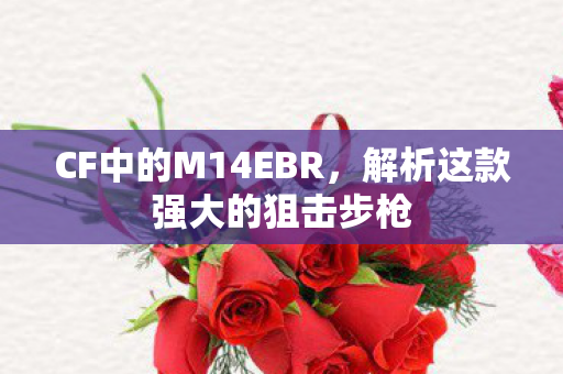 CF中的M14EBR，解析这款强大的狙击步枪