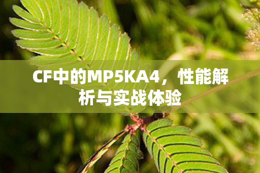CF中的MP5KA4，性能解析与实战体验