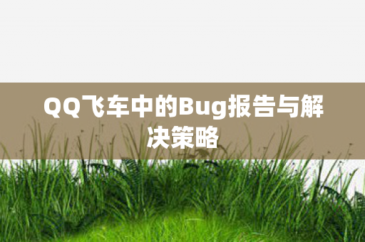 QQ飞车中的Bug报告与解决策略