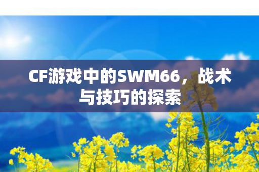 CF游戏中的SWM66,战术与技巧的探索 CF游戏中的SWM66,战术与技巧的探索