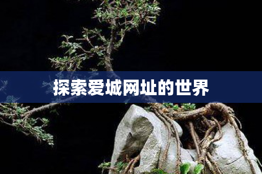 探索爱城网址的世界
