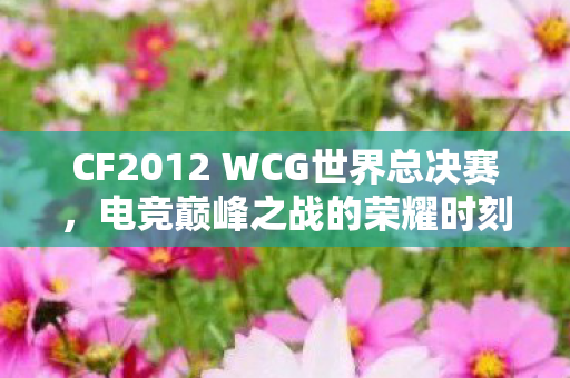CF2012 WCG世界总决赛，电竞巅峰之战的荣耀时刻