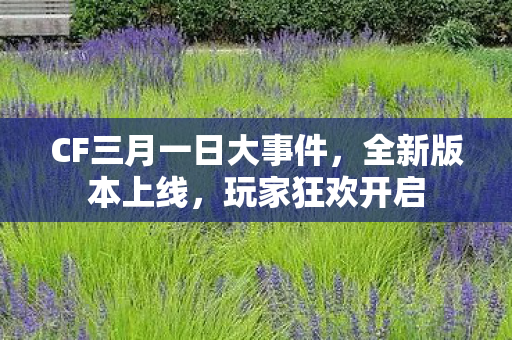 CF三月一日大事件，全新版本上线，玩家狂欢开启