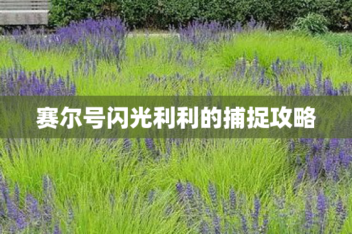 赛尔号闪光利利的捕捉攻略 赛尔号闪光利利的捕捉攻略