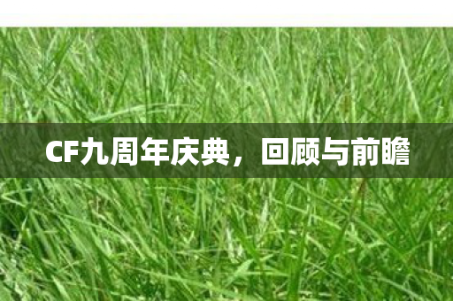 CF九周年庆典，回顾与前瞻