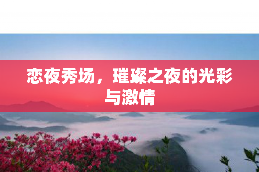 恋夜秀场，璀璨之夜的光彩与激情
