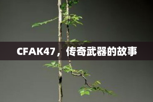 CFAK47，传奇武器的故事