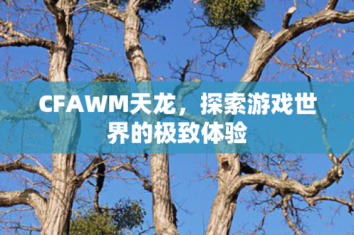 CFAWM天龙,探索游戏世界的极致体验 CFAWM天龙,探索游戏世界的极致体验