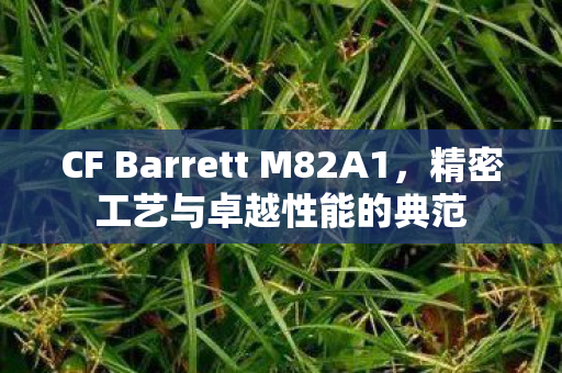 CF Barrett M82A1，精密工艺与卓越性能的典范