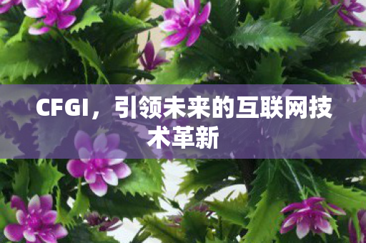 CFGI,引领未来的互联网技术革新 CFGI,引领未来的互联网技术革新