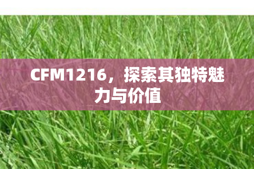 CFM1216,探索其独特魅力与价值 CFM1216,探索其独特魅力与价值