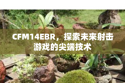 CFM14EBR，探索未来射击游戏的尖端技术
