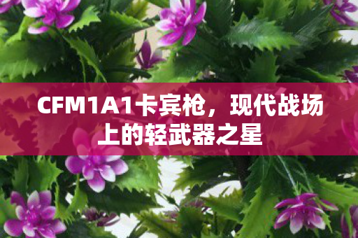CFM1A1卡宾枪,现代战场上的轻武器之星 CFM1A1卡宾枪,现代战场上的轻武器之星