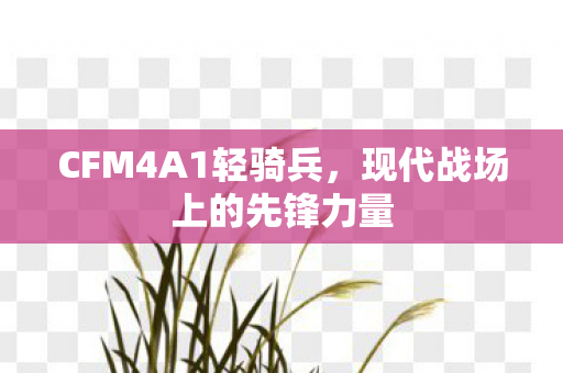 CFM4A1轻骑兵,现代战场上的先锋力量 CFM4A1轻骑兵,现代战场上的先锋力量