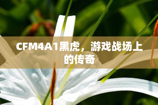 CFM4A1黑虎,游戏战场上的传奇 CFM4A1黑虎,游戏战场上的传奇