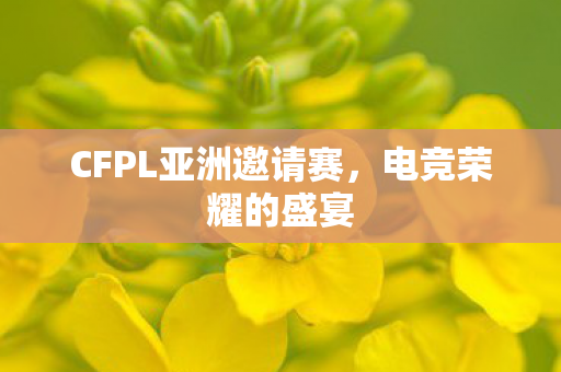 CFPL亚洲邀请赛,电竞荣耀的盛宴 CFPL亚洲邀请赛,电竞荣耀的盛宴