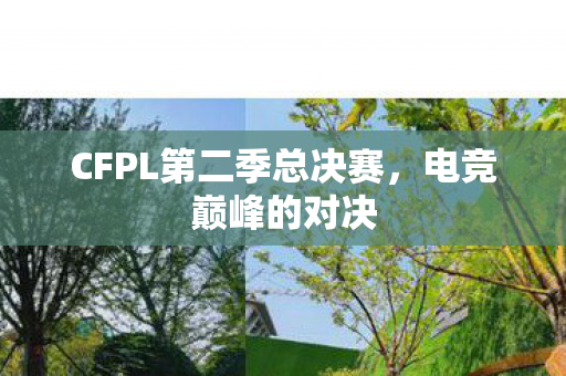 CFPL第二季总决赛,电竞巅峰的对决 CFPL第二季总决赛,电竞巅峰的对决