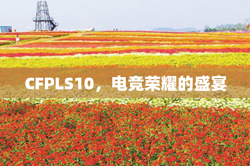 CFPLS10,电竞荣耀的盛宴 CFPLS10,电竞荣耀的盛宴