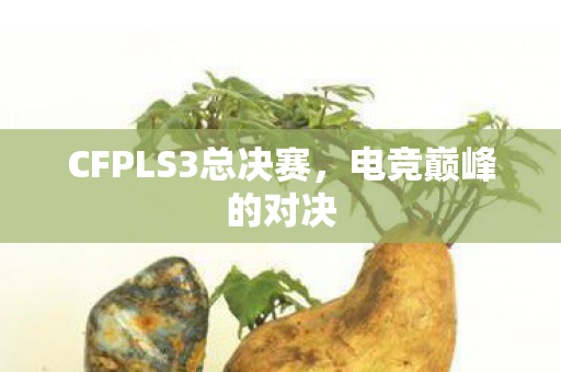 CFPLS3总决赛，电竞巅峰的对决