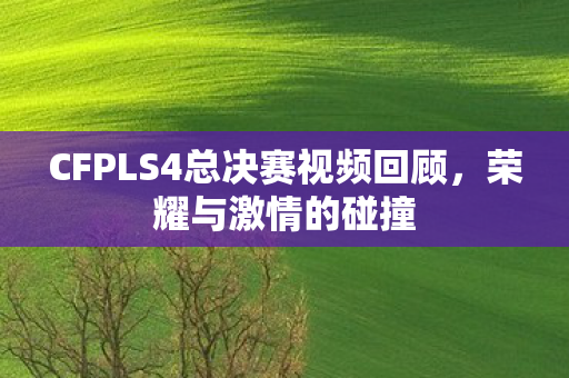 CFPLS4总决赛视频回顾，荣耀与激情的碰撞